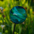 Genesis Solar Swirl - Blue.png